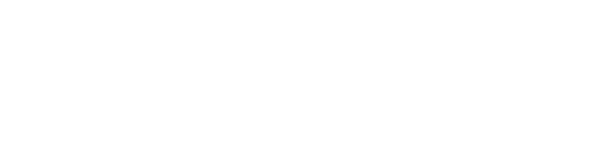 Altay Brand Manager